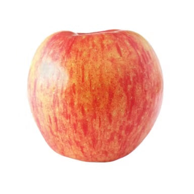 Apple - Honey Crisp (1 ct)