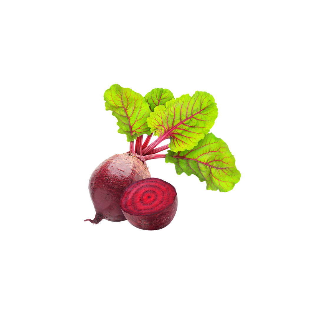 Red Beet (1 ct)