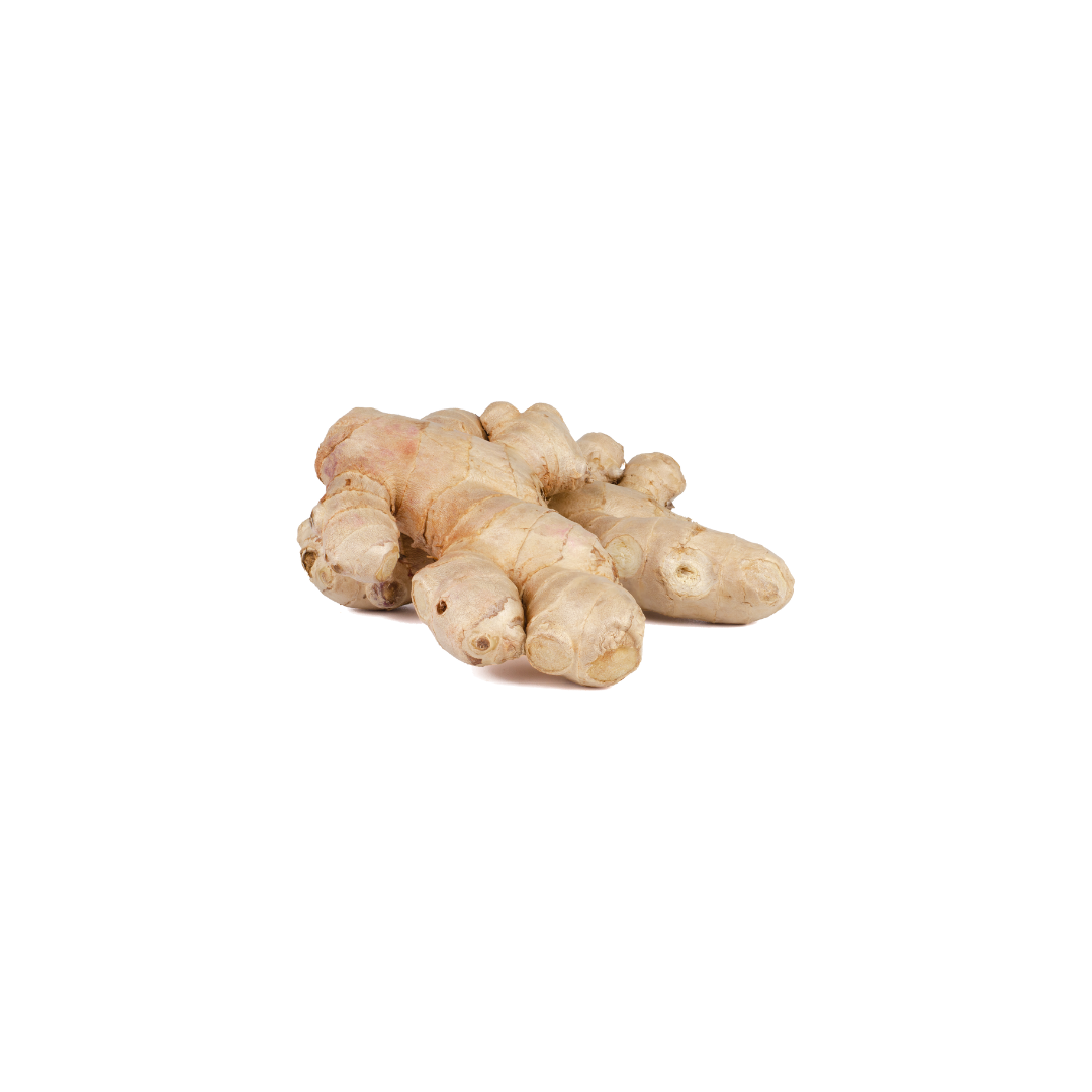 Ginger Root (LB)