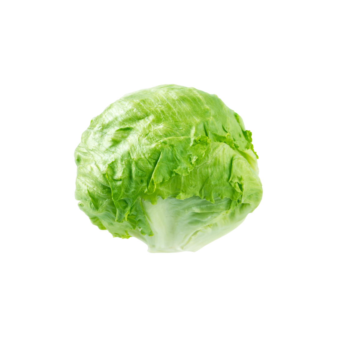 Lettuce - Baby Iceberg (1 ct)