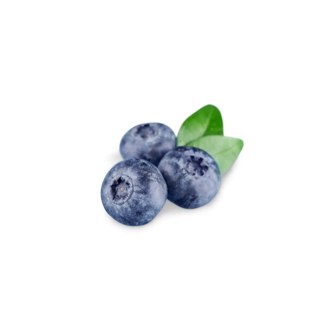 Berries - Blueberry (1 pt)