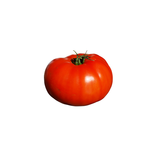 Tomato - Beefsteak (1 ct)