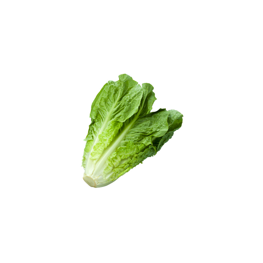 Lettuce - Romaine (1 ct)