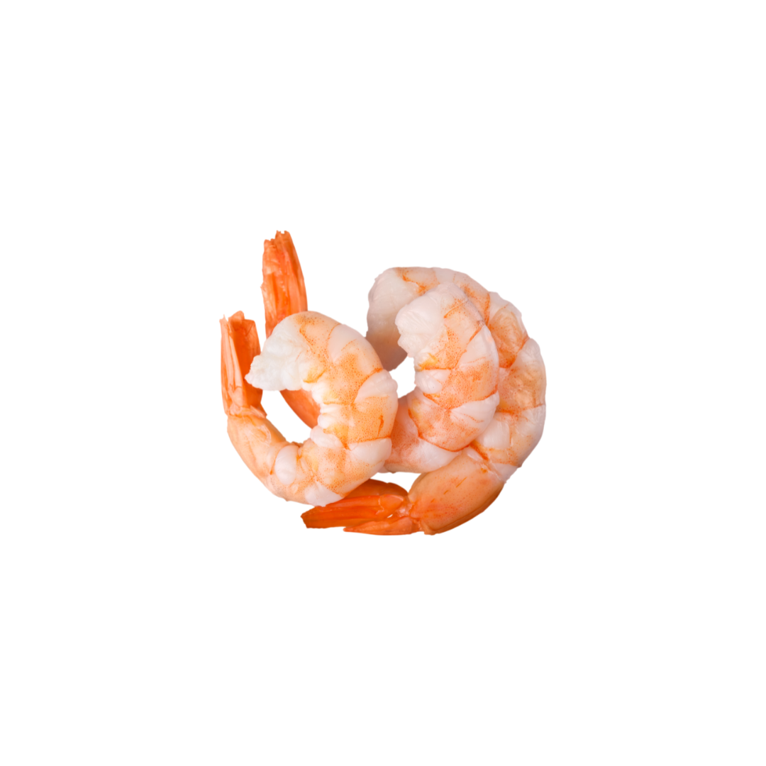 Shrimp (Cooked)