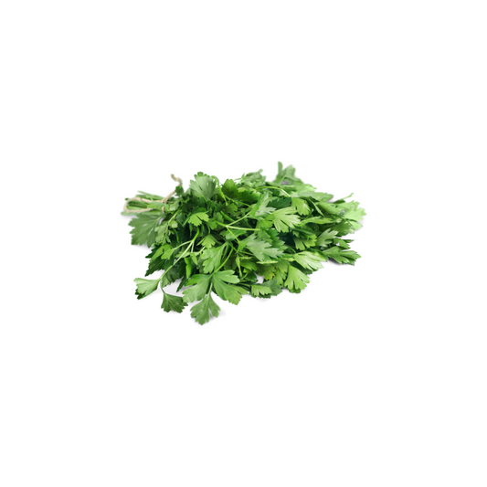 Herbs - Cilantro (1 ct)