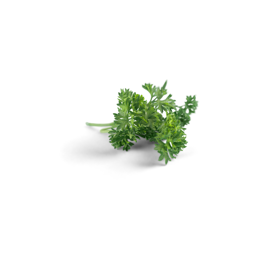 Herbs - Parsley (1 ct)