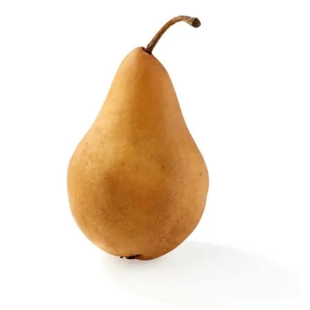 Pear - Bosco (1 ct)