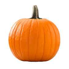 PREORDER: Pumpkin - Large (1 ct)