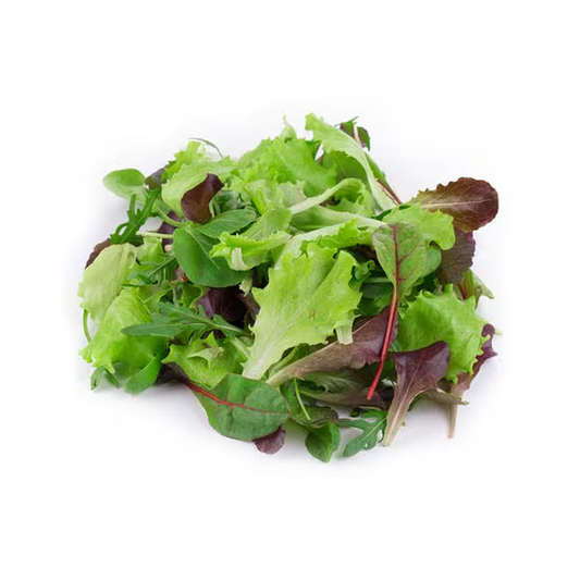 Neighborhood Grocery Spring Mix - 3oz