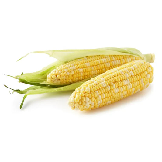 Ear of Sweet Corn (1 ct)